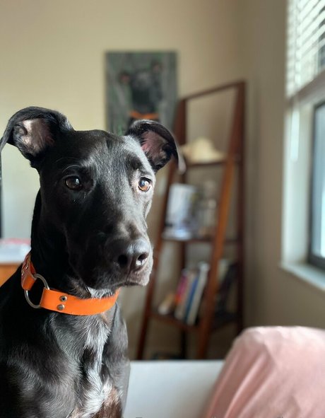 brycesgfkatya エロティック女優 画像