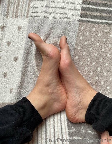 feetronnie 高品質のスター ギャラリー