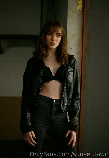 sunset fawn 最高のスター 画像