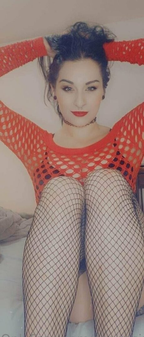 seairasiren 美しいスター 写真