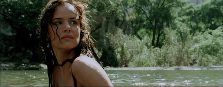 ブラジルの猫オンリーファンズ ヌード 写真