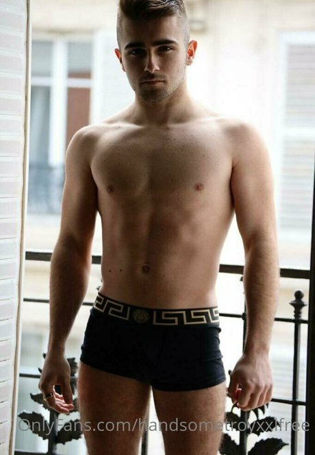 handsometroyxxlfree 最高のポルノスター 画像