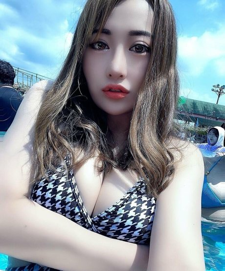 ブラジルの猫オンリーファンズ 可愛い 写真