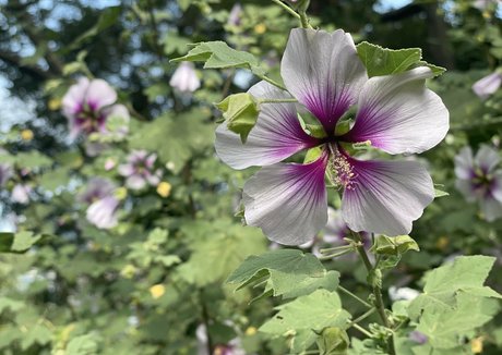 janeray 素敵なモデル ギャラリー