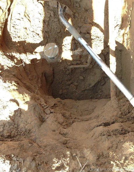 cbadonis 高品質モデル 写真