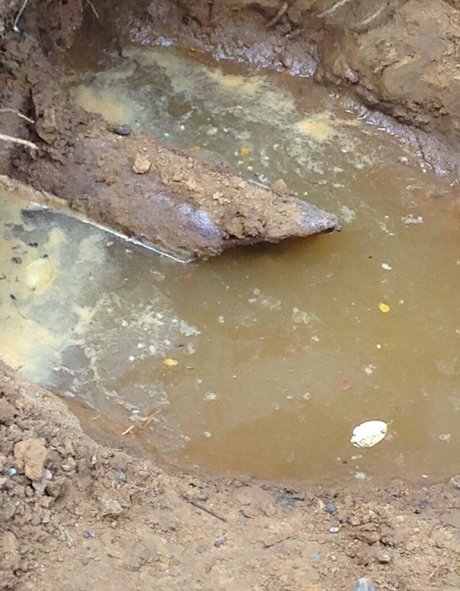 cbadonis アートスター 写真