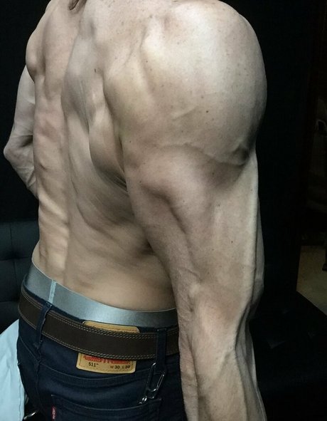 cbadonis ポルノモデル 画像