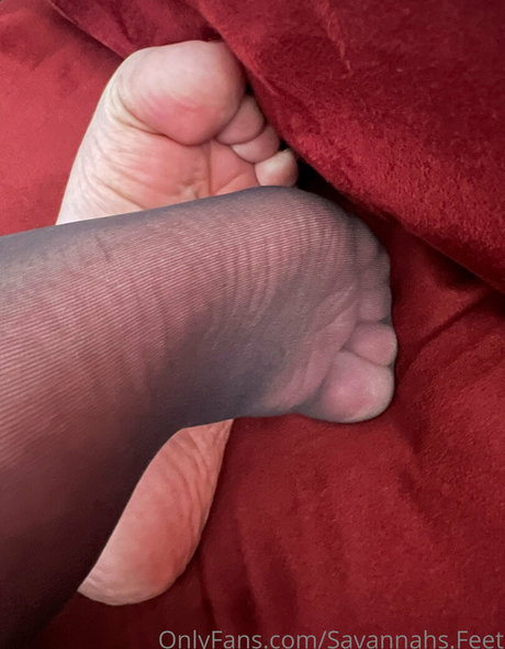 savannahs feet アートスター ギャラリー