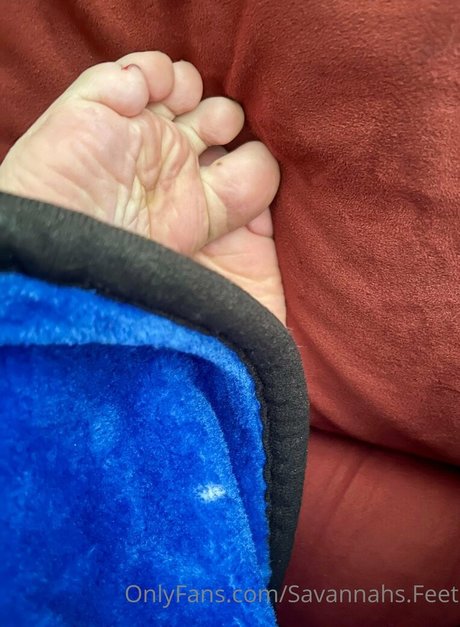 savannahs feet 素敵なスター 写真