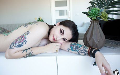 Douji ポルノスター トップ 画像