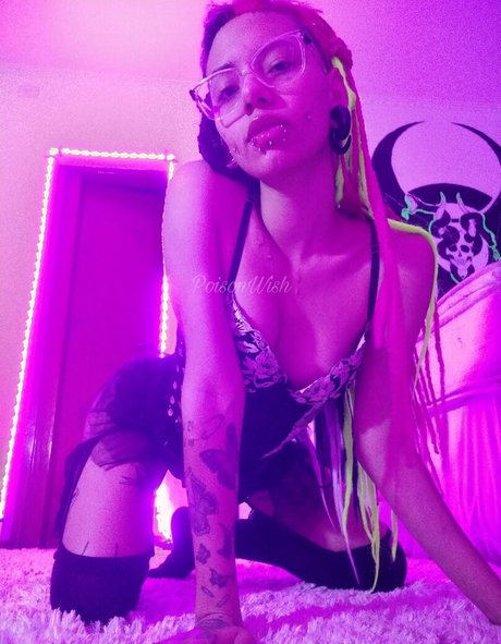 poisonwish 高品質スター 写真