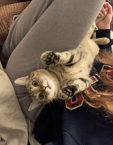 sexyredinbedfree ポルノスター ヌード 写真