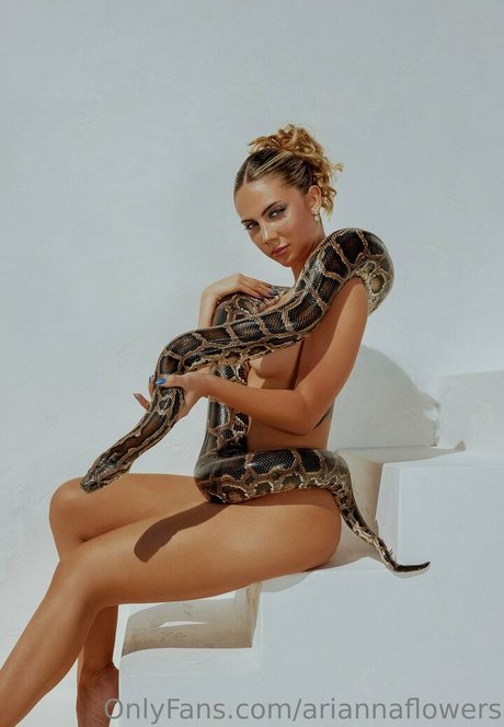 Arianna Flowers 無料のポルノスター 写真