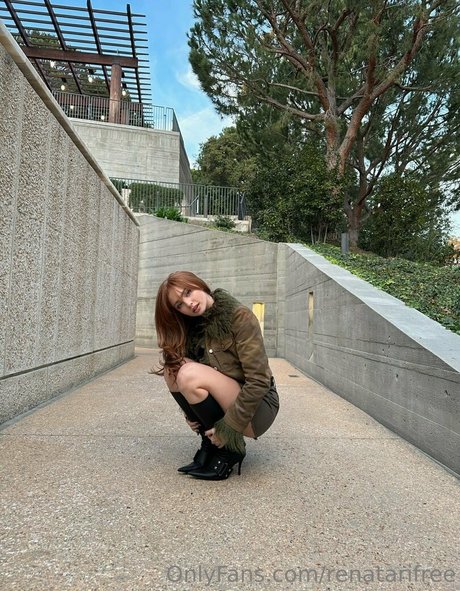 renatarifree スター 画像