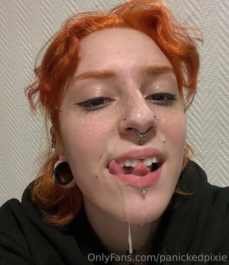 panickedpixie トップ女優 画像