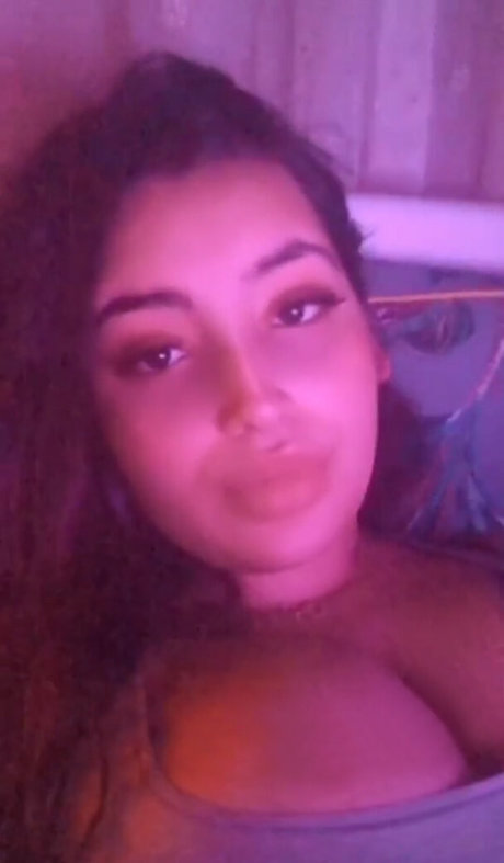 Sibel T HDモデル 画像