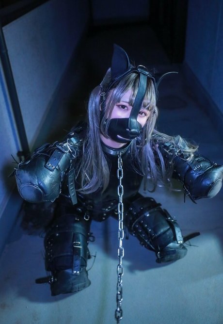 Dlemon 完璧なスター 写真