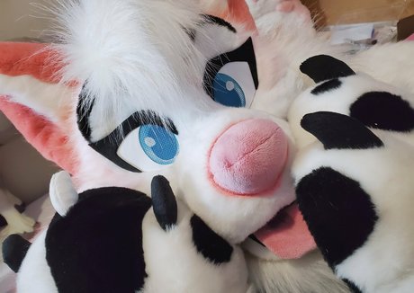 熟女クーガーオンリーファンズ アダルト無料 画像