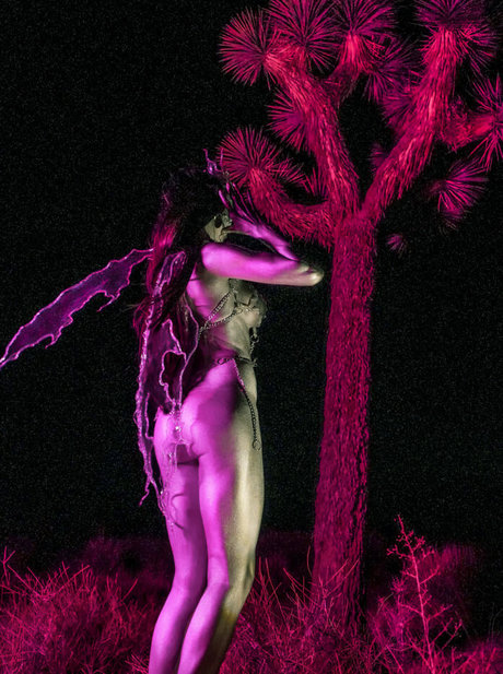 Sharon Ehman 裸のモデル 画像