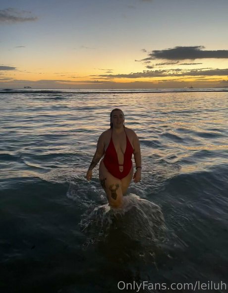 leiluh 素敵なスター ギャラリー