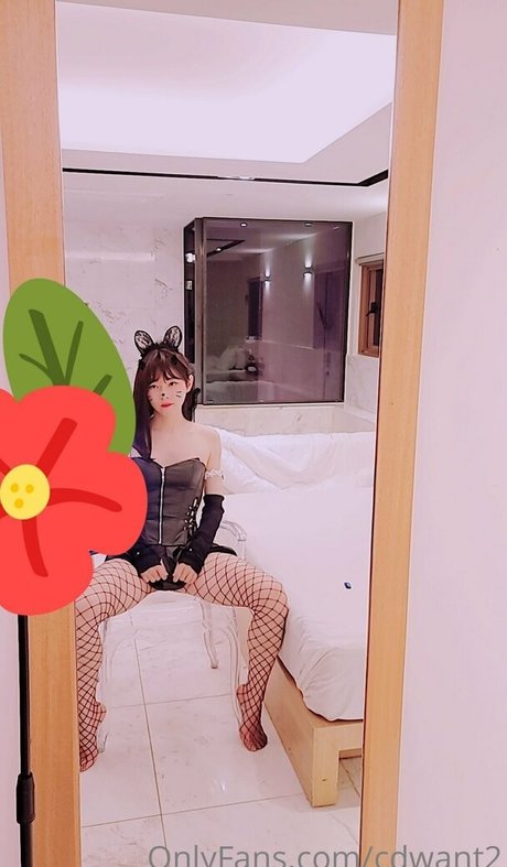 cdwant2 ポルノスター 高品質 写真