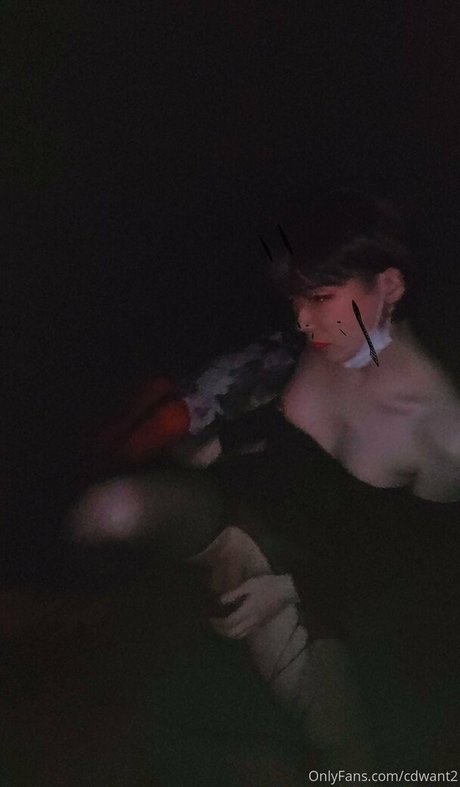 cdwant2 独占女優 ギャラリー