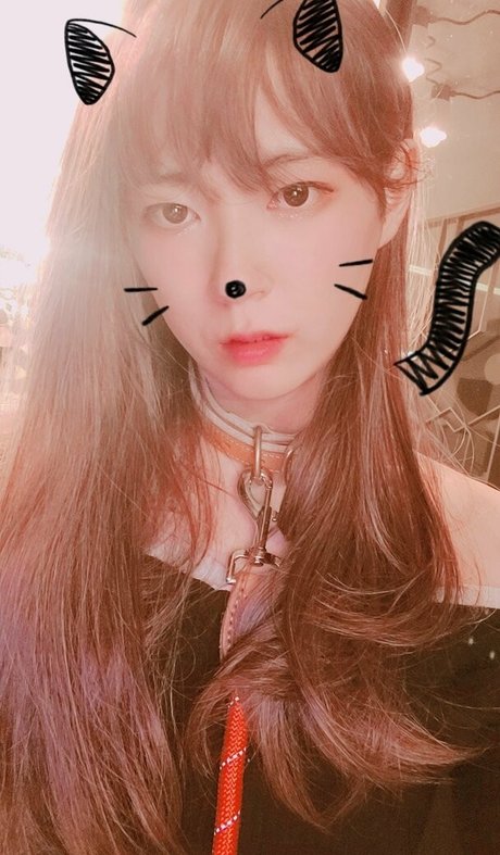 cdwant2 独占女優 写真