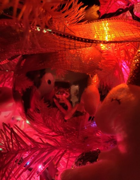 BBW妻オンリーファンズ ポルノグラフィック ギャラリー