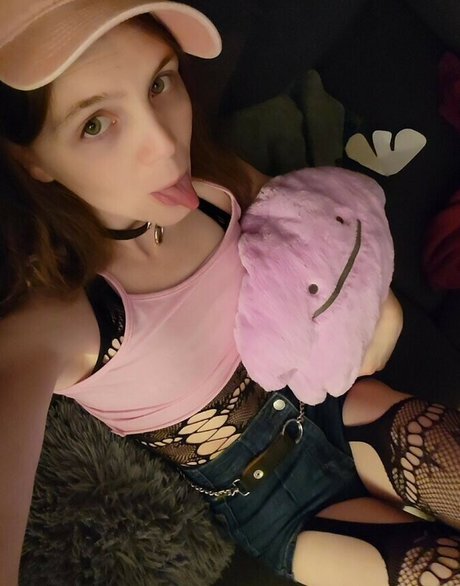 Hexakush HDモデル 画像