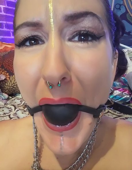 金髪クーガーオンリーファンズ 無料セクシー 写真