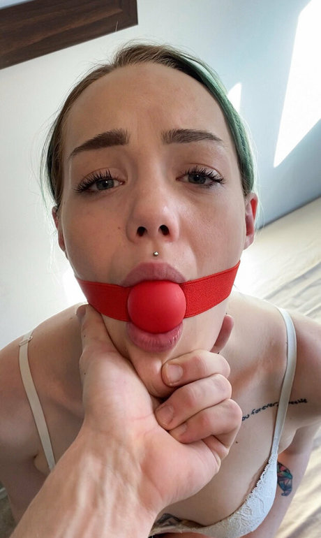 ciciastral HDモデル 写真