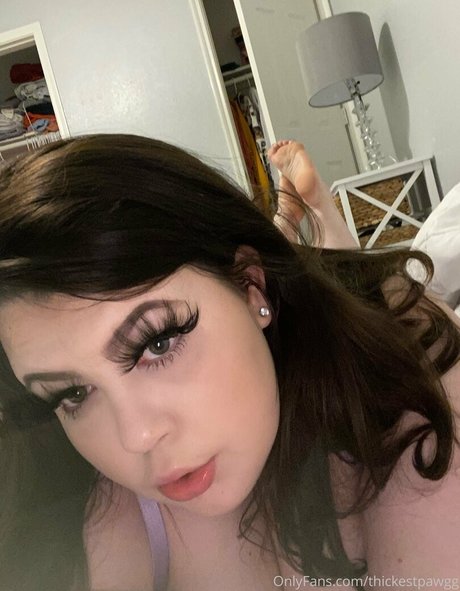 thickestbbw 2 ポルノモデル アーカイブ