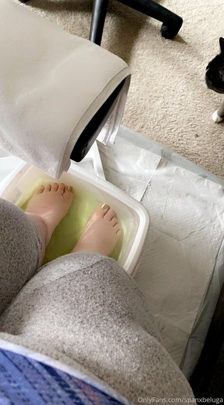 spanxbeluga アダルトモデル アーカイブ