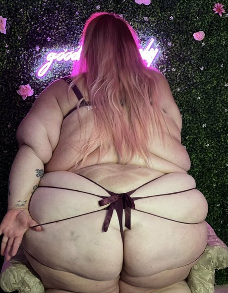 spanxbeluga トップスター 写真