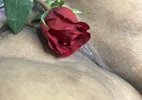 vanessahinata 限定モデル 写真