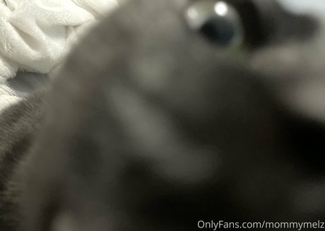 BBC売春婦OnlyFans ホットxxx 写真