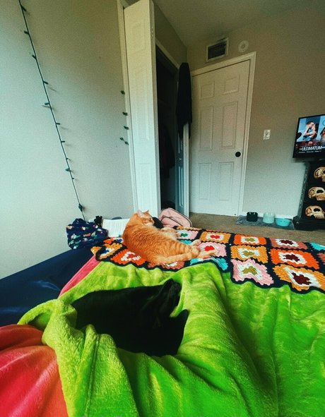 thatshortcutegirl 高品質スター ギャラリー