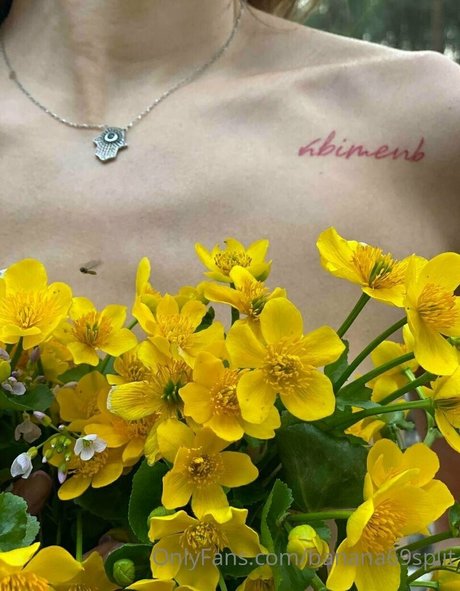 ゲイオンリーファン 美しい裸 写真