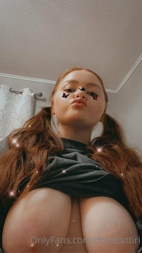 dovecattiri XXXモデル 写真