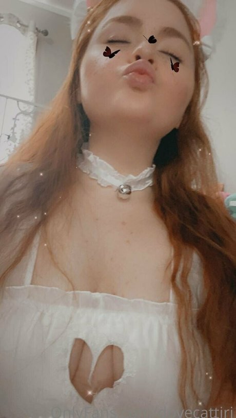 dovecattiri 最高のモデル 写真