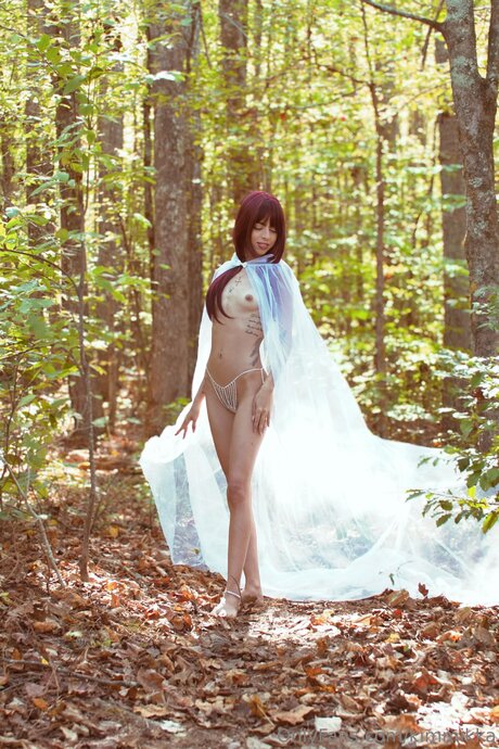 ブッシュ・オンリーファンズ 無料セックス 写真