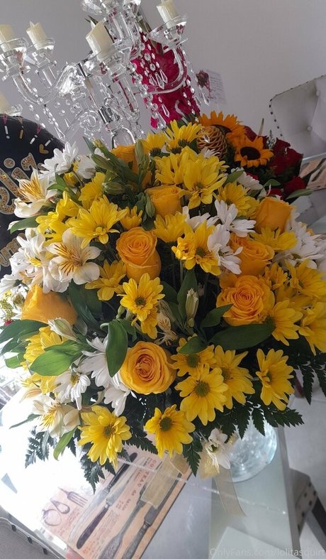 バレーボール オンリーファンズ ヌード 写真