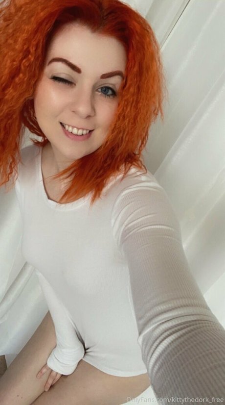 OnlyFansの普及 無料ポルノ アーカイブ