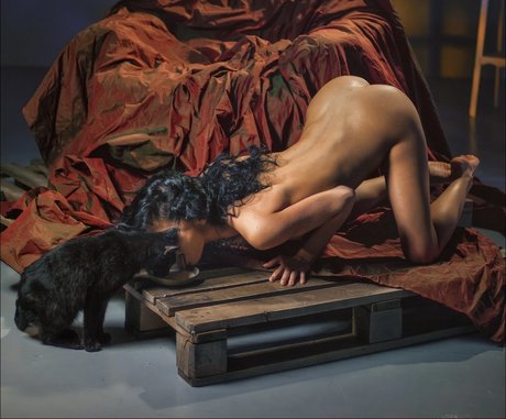 Pavel Kiselev 独占ポルノスター アーカイブ