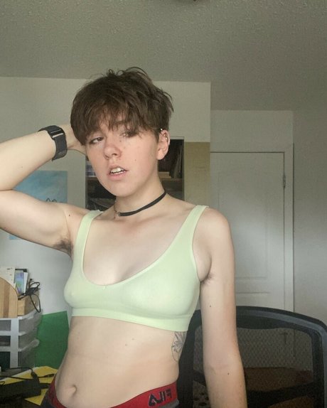 Wrendosia 最高のスター ギャラリー