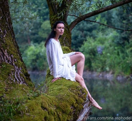 tina asphodel ポルノ女優 ギャラリー