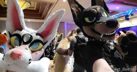 strwbrryinsides ホットスター 写真