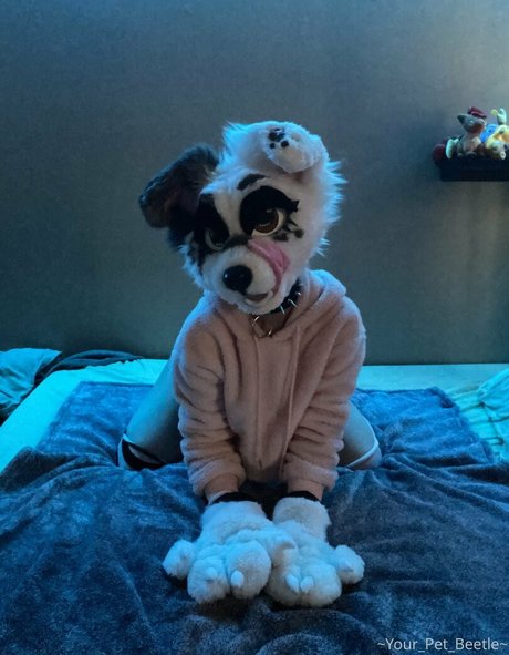 strwbrryinsides セクシーなポルノスター 写真