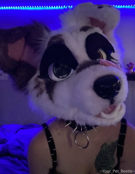 strwbrryinsides HDモデル 写真