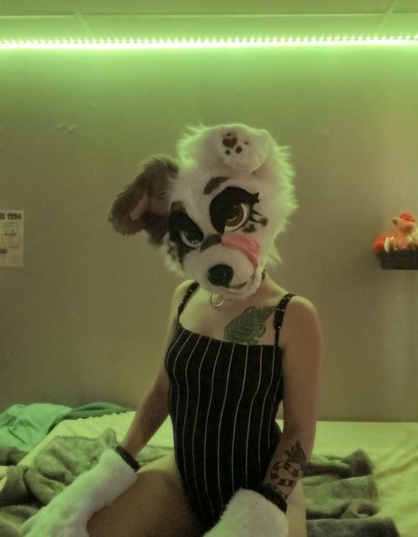 strwbrryinsides Bilder